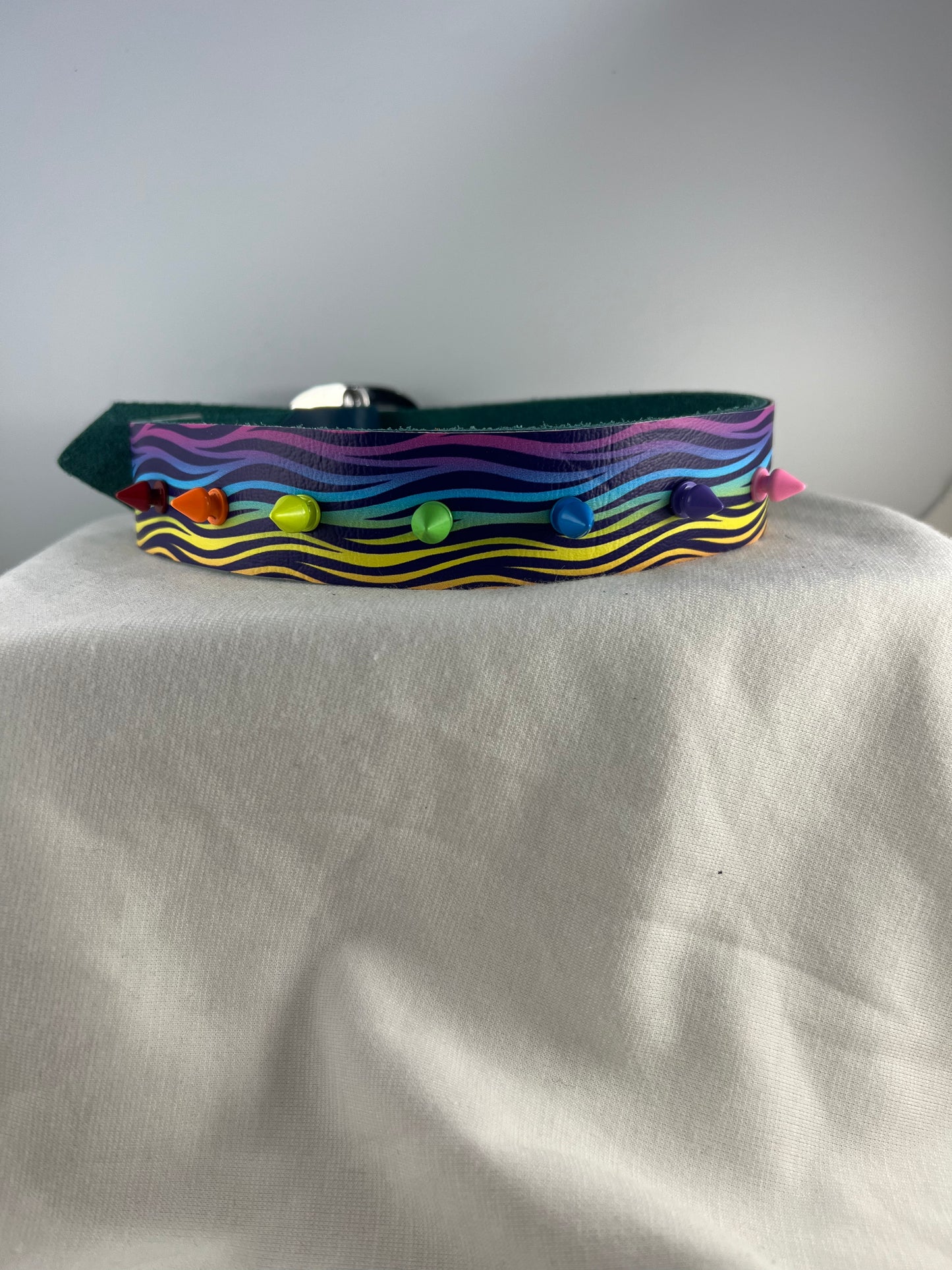 Spiked Rainbow Zebra on Blue Base Leather Collar