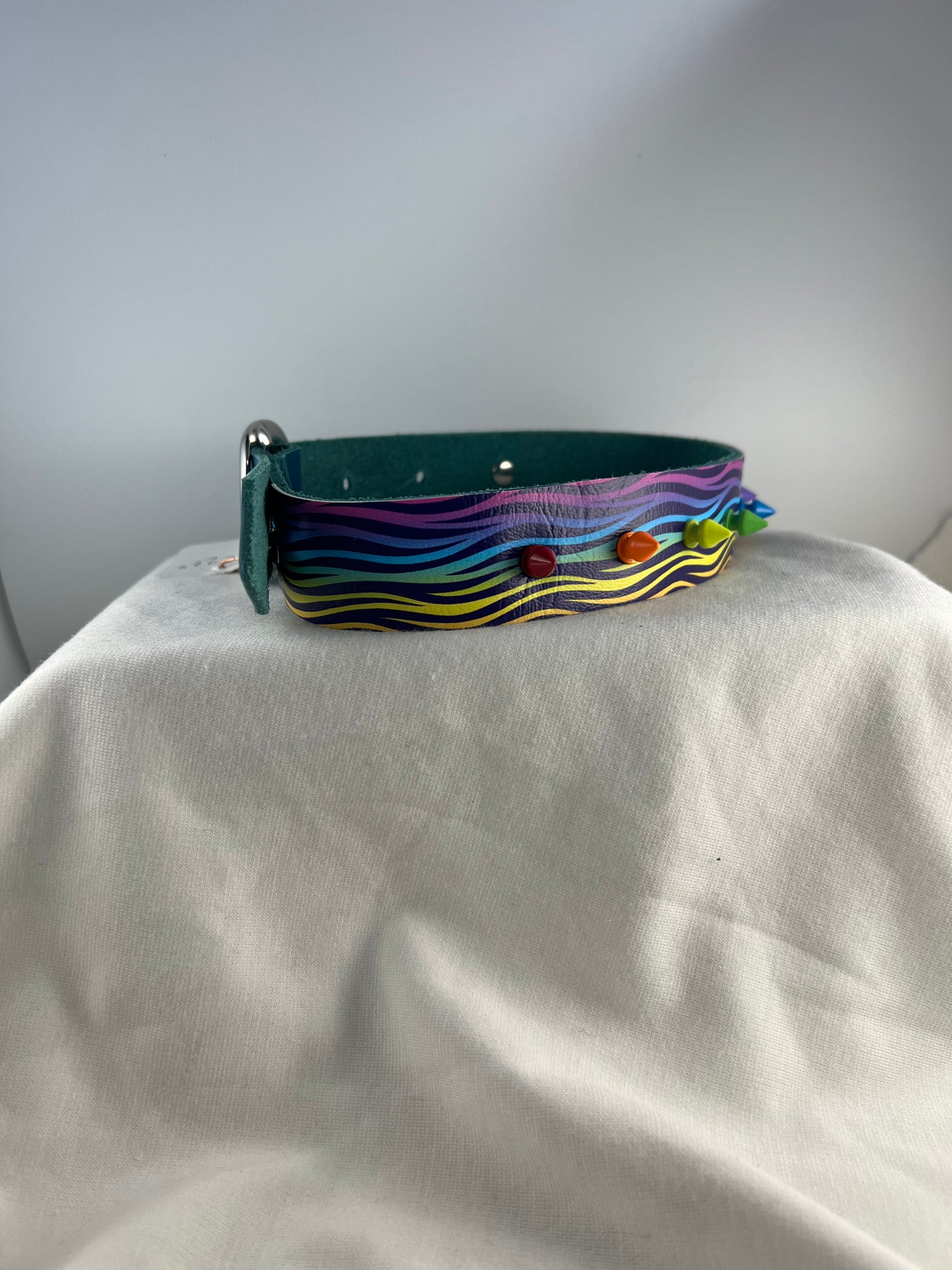 Spiked Rainbow Zebra on Blue Base Leather Collar