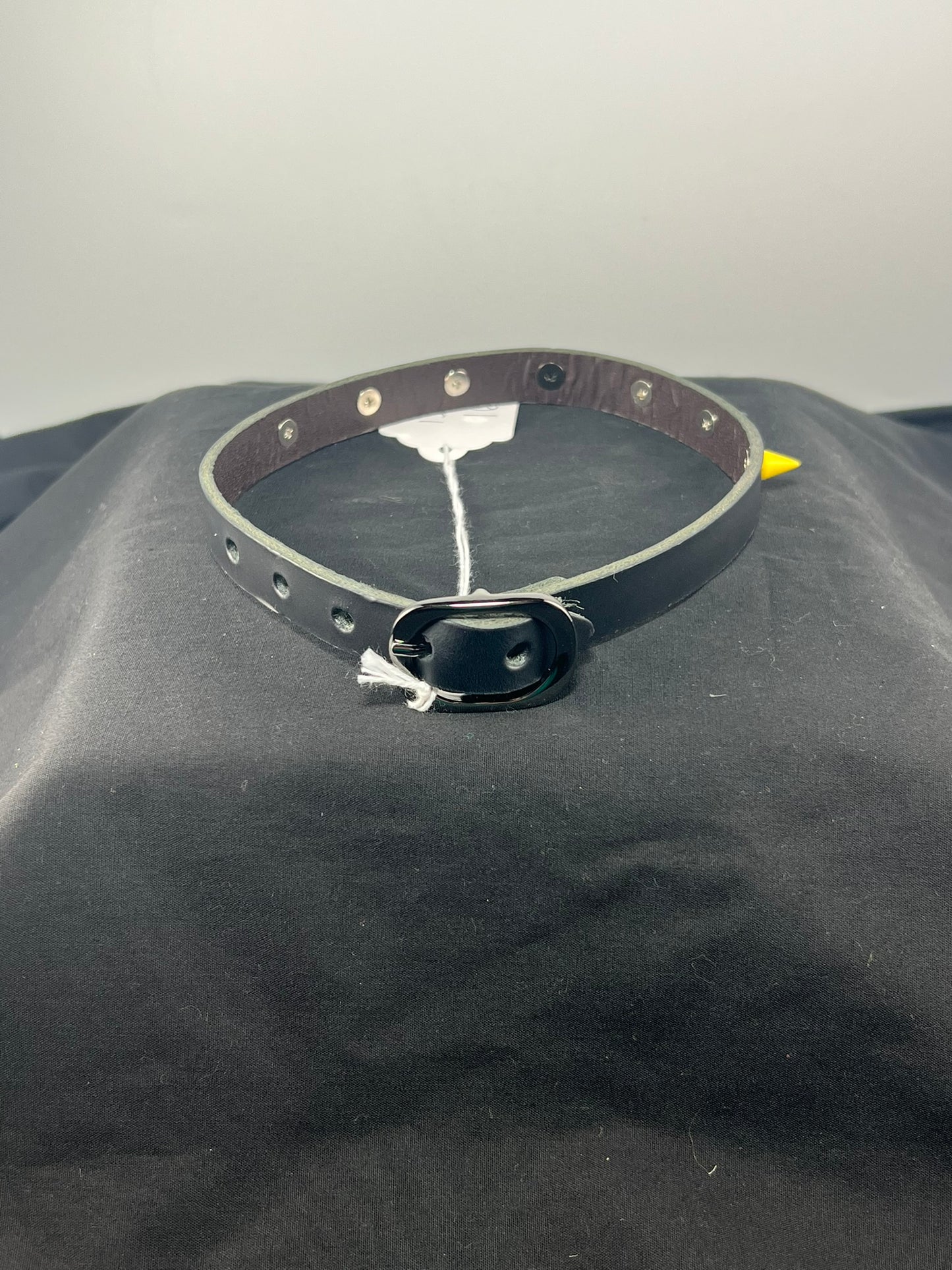 Halloween Charm Black Base Leather Choker