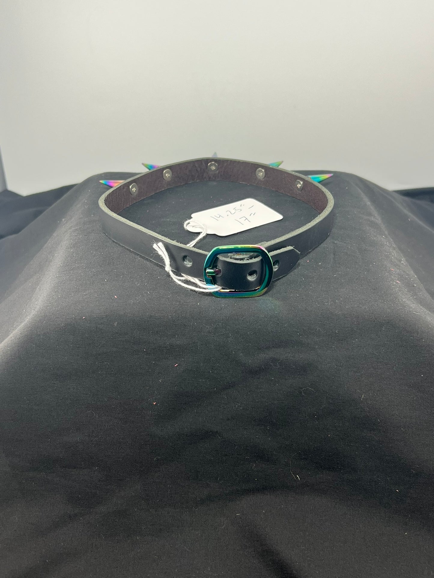Long Rainbow Spikes Black Base Leather Choker