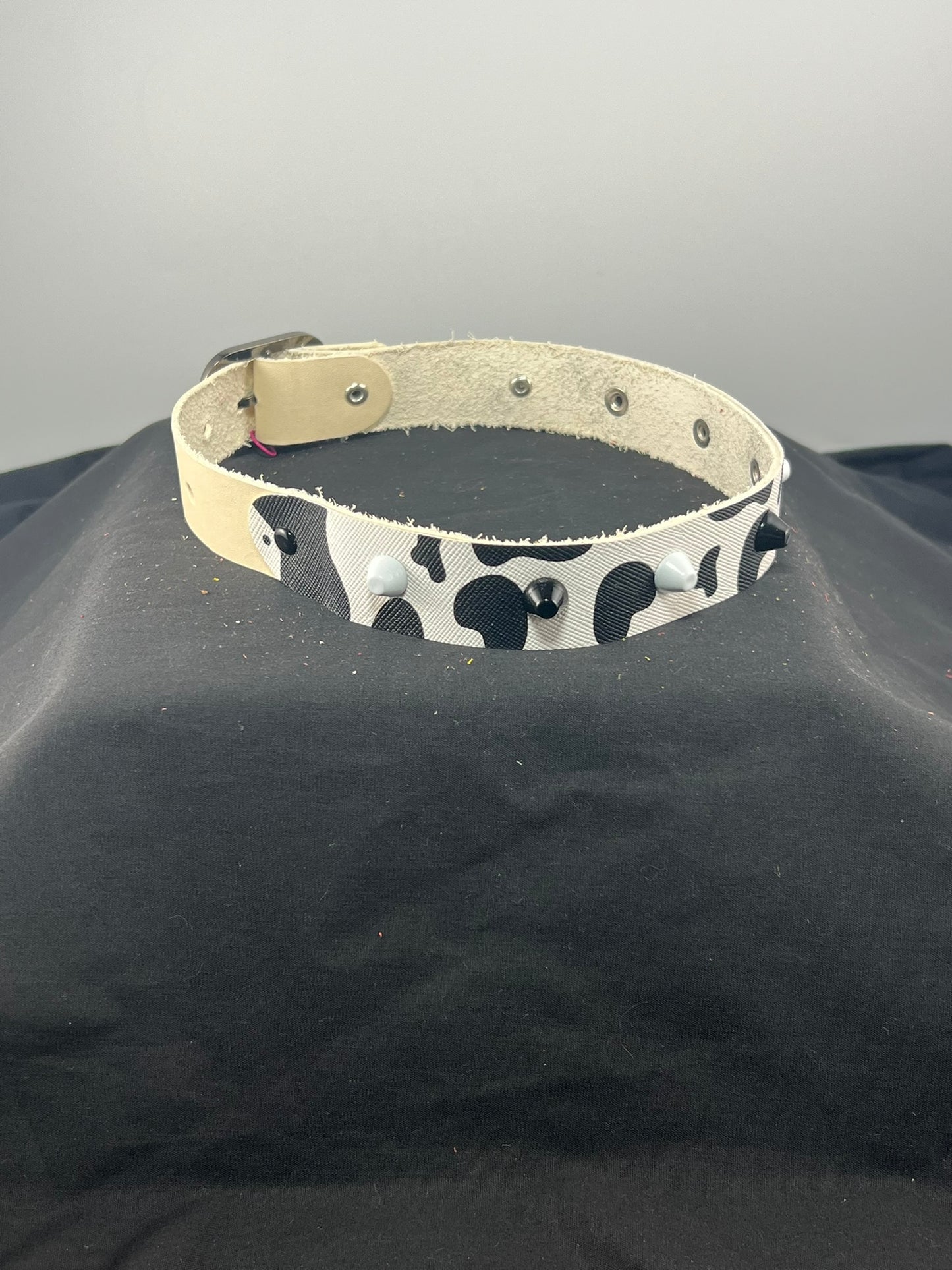 Studded Cow Patterned White Base Leather Collar