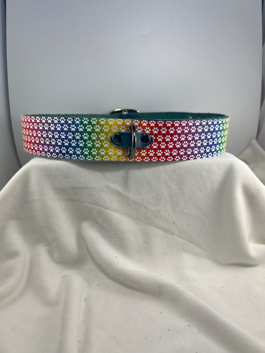 Thick Rainbow Paw Patterned Blue Base Leather Collar