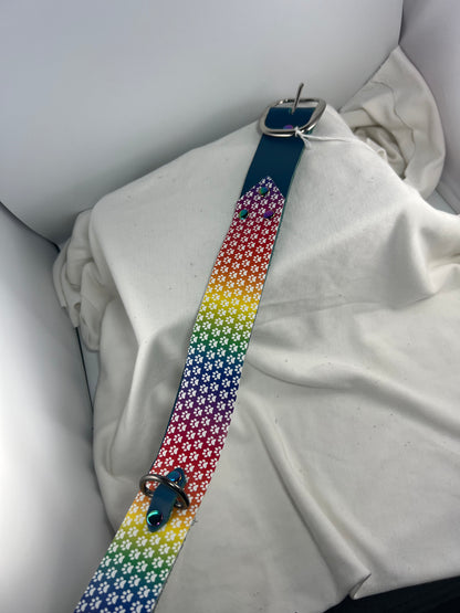 Thick Rainbow Paw Patterned Blue Base Leather Collar