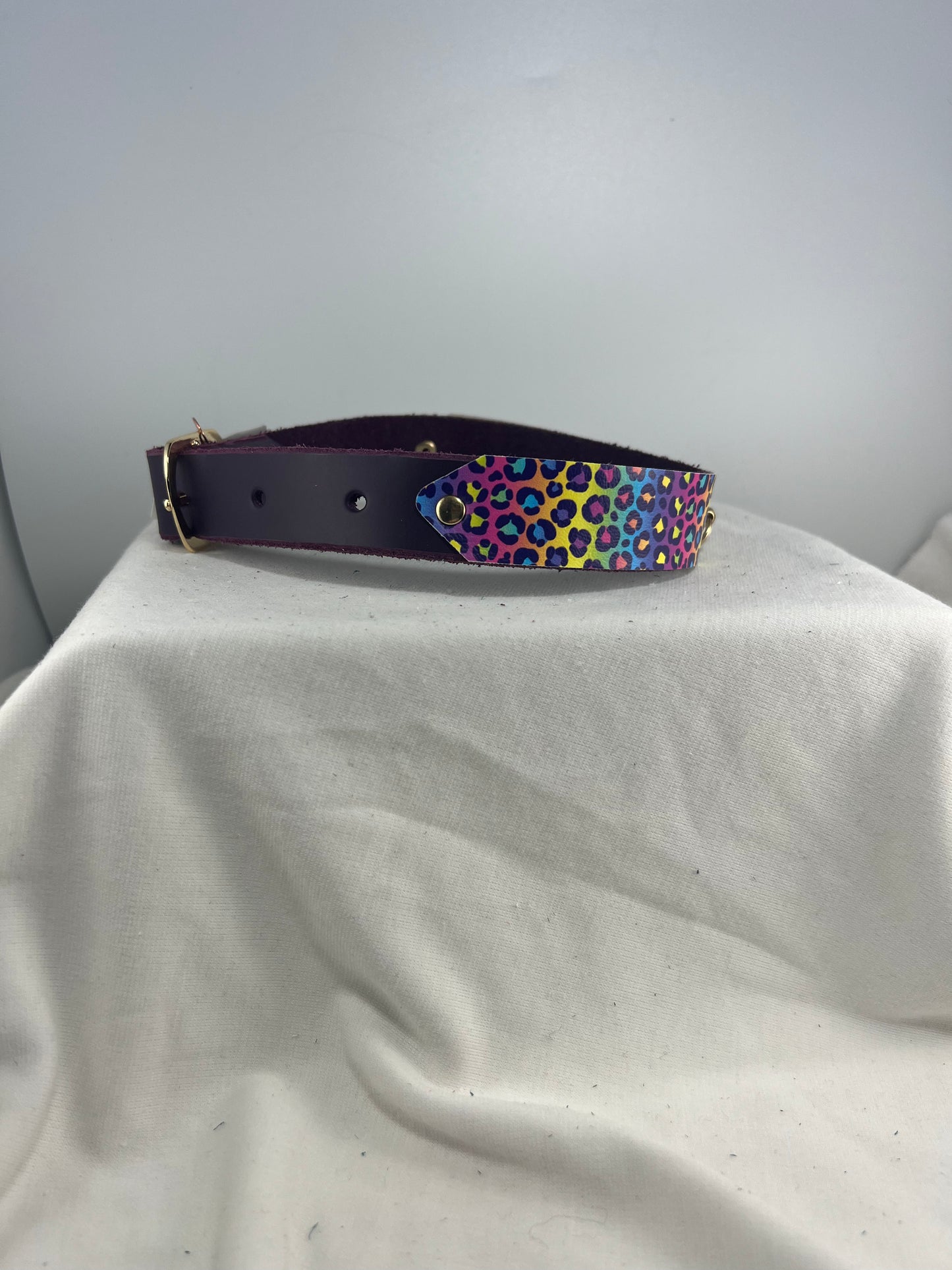Rainbow Leopard Print Patterned Purple Base Leather Collar